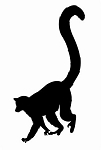 Lemur Silhouette Decal Sticker
